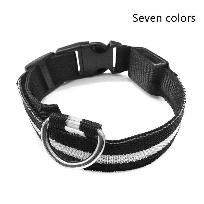 Glow in Dark Dog Leash