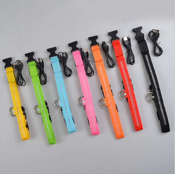 Glow in Dark Dog Leash