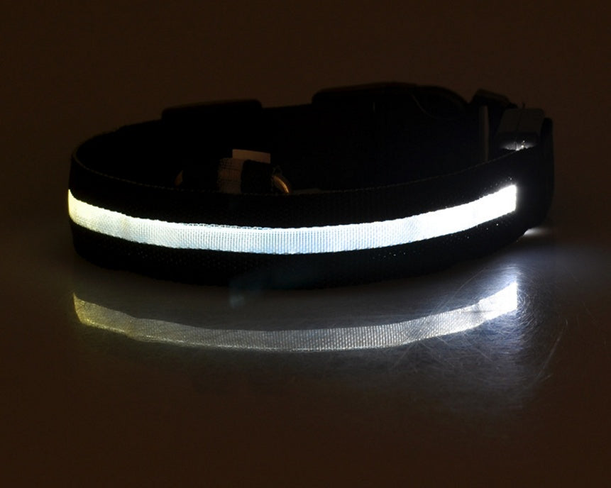 Glow in Dark Dog Leash