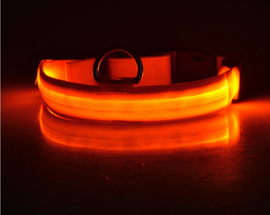 Glow in Dark Dog Leash