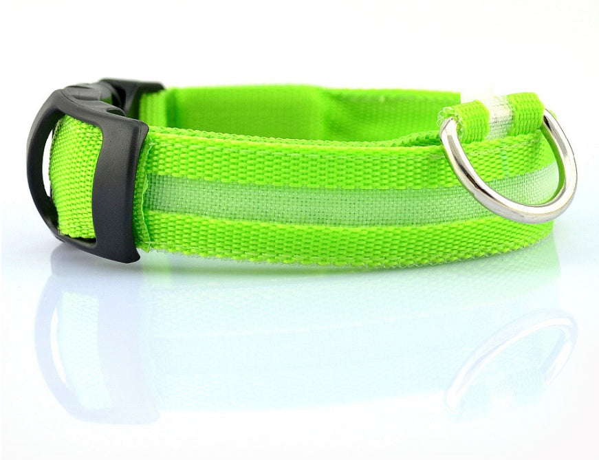 Glow in Dark Dog Leash
