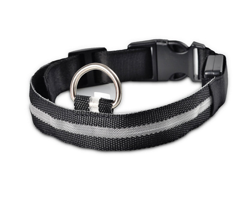 Glow in Dark Dog Leash