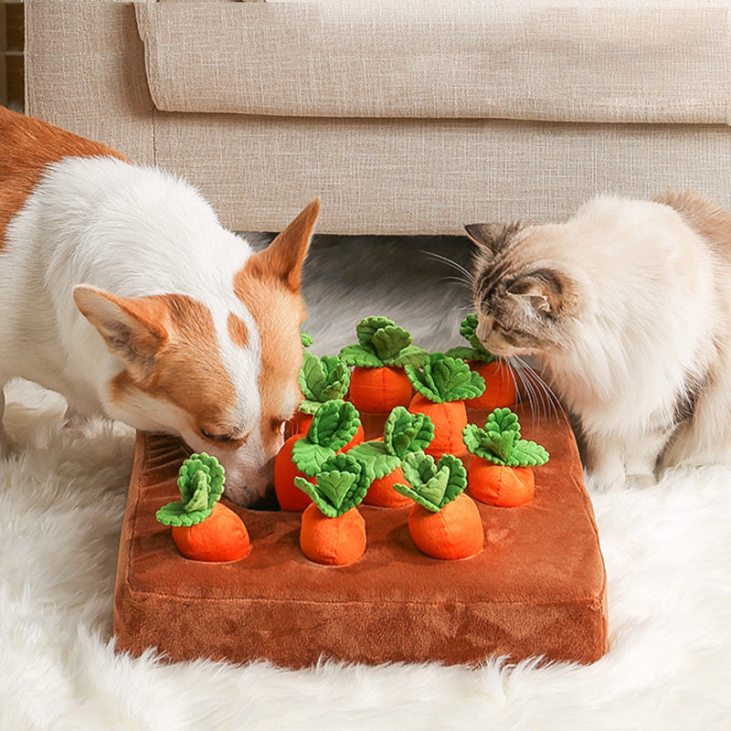 Dog Toys Carrot