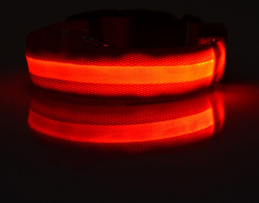 Glow in Dark Dog Leash