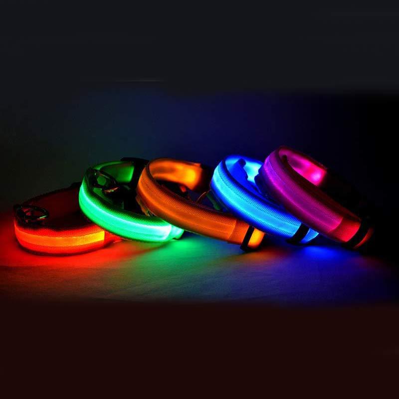 Glow in Dark Dog Leash