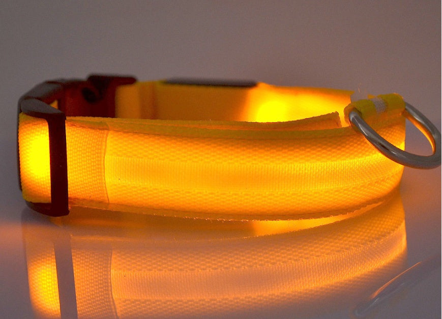 Glow in Dark Dog Leash