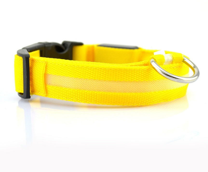 Glow in Dark Dog Leash