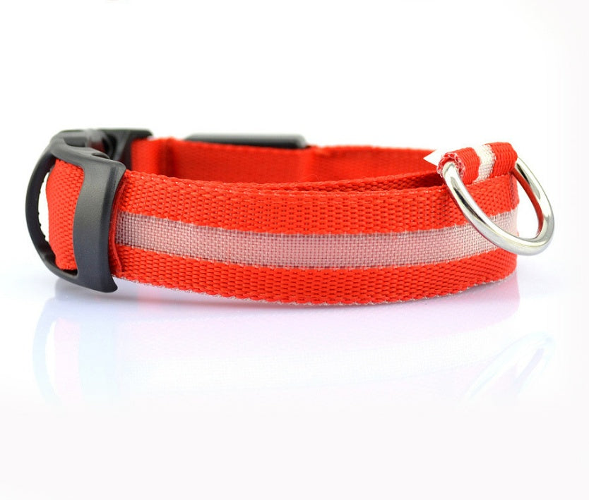 Glow in Dark Dog Leash