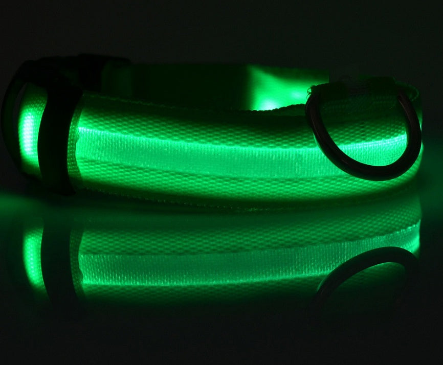 Glow in Dark Dog Leash