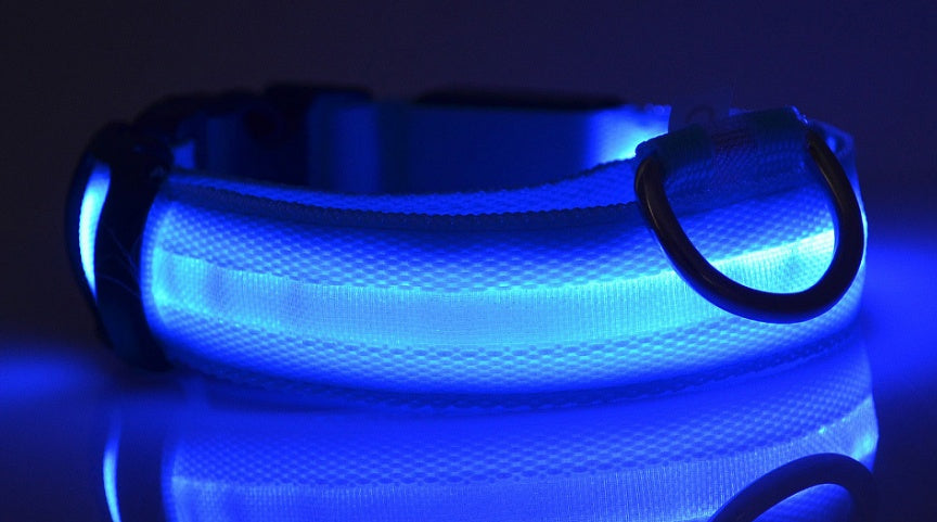 Glow in Dark Dog Leash