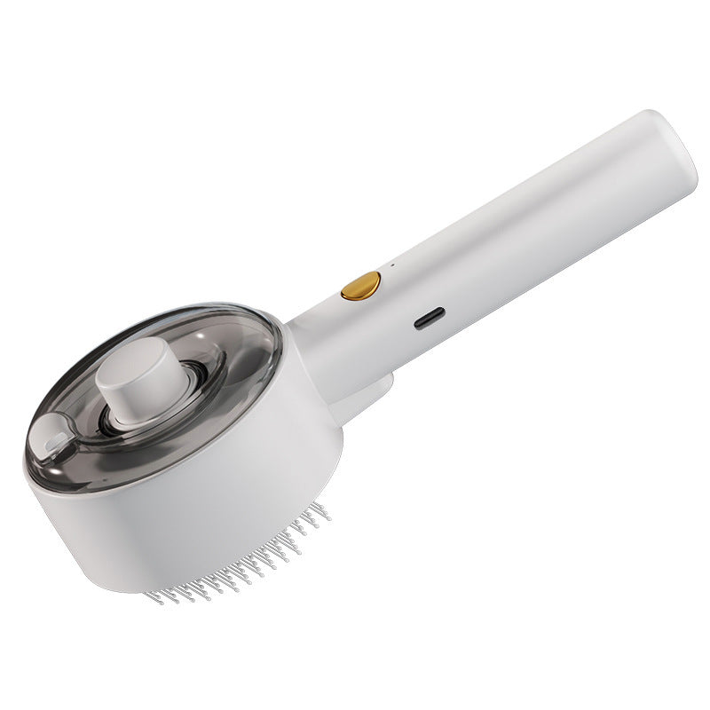 Hair Remover Brush