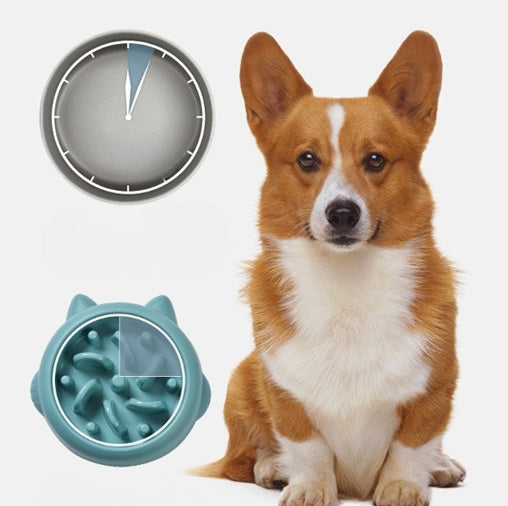 Dog Slow Feeder Bowls
