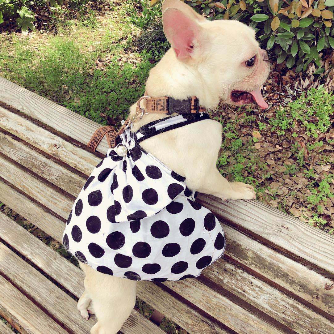 Dog Black Cute Tutu Skirt
