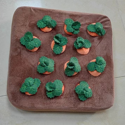 Dog Toys Carrot