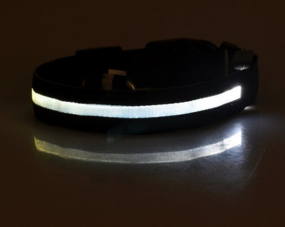 Glow in Dark Dog Leash