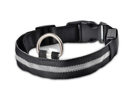 Glow in Dark Dog Leash