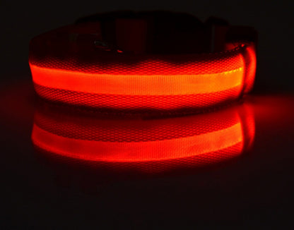 Glow in Dark Dog Leash