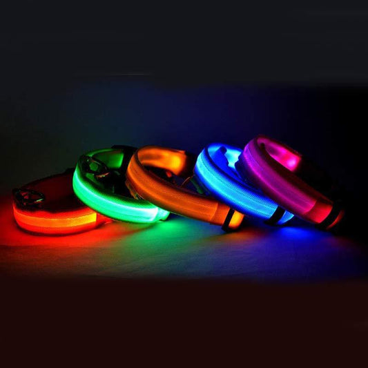 Glow in Dark Dog Leash