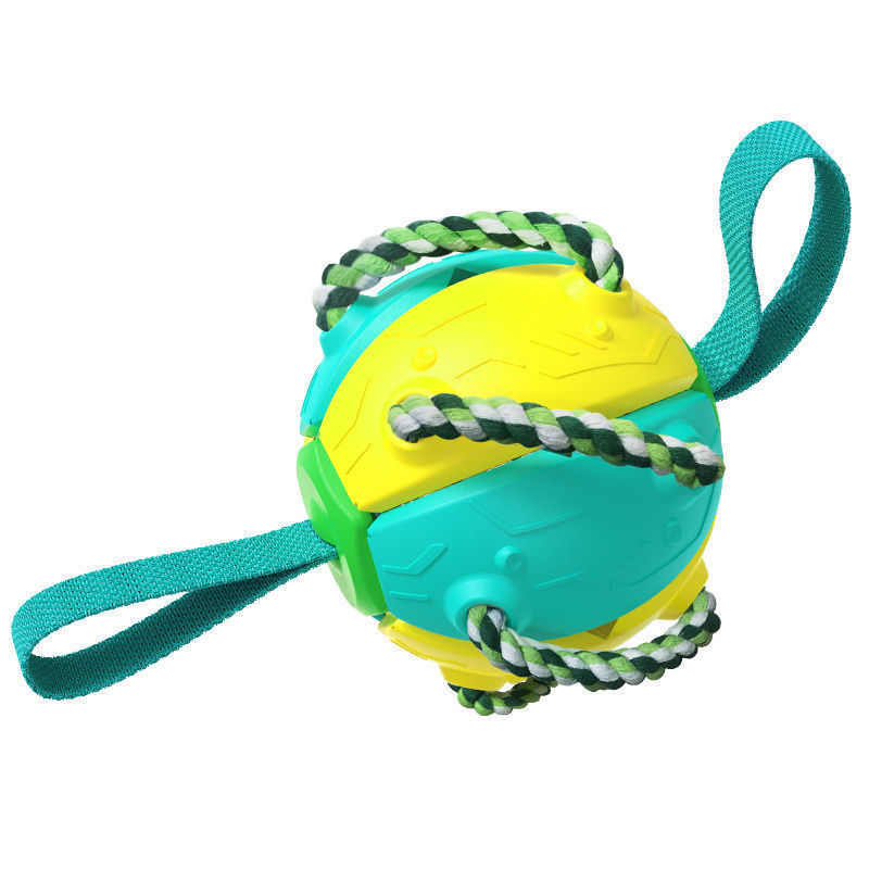 Interactive Dog Football