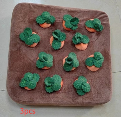 Dog Toys Carrot