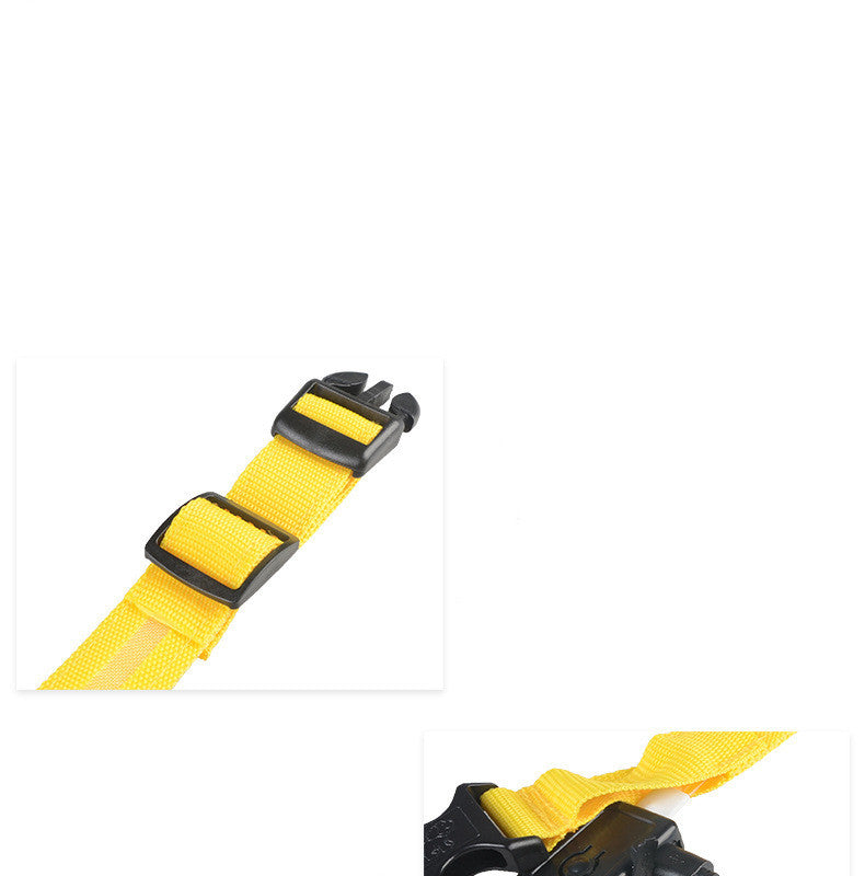 Glow in Dark Dog Leash
