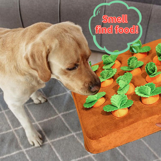 Dog Toys Carrot